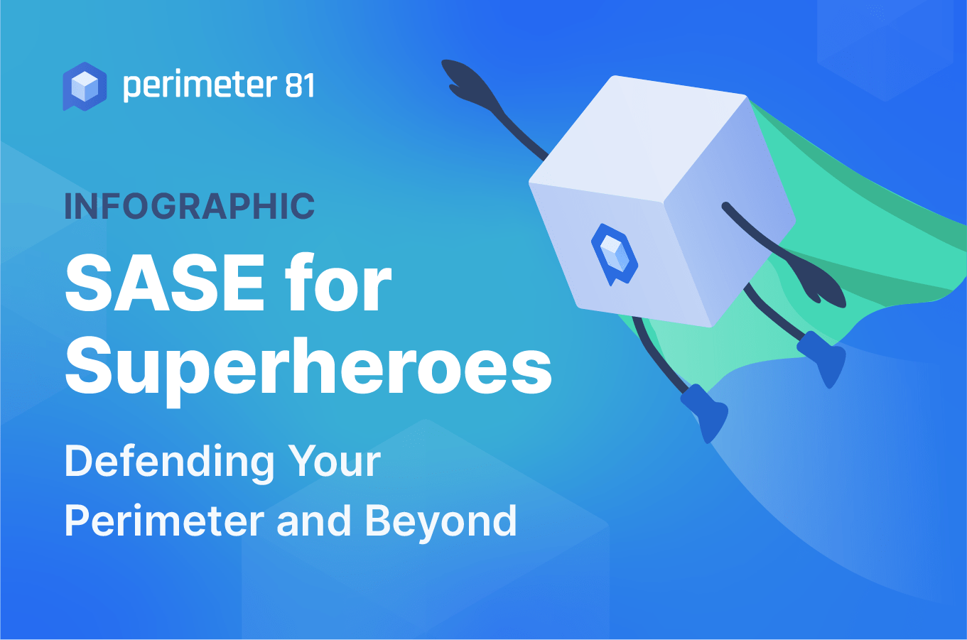 SASE Infographic Perimeter 81