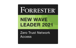 ZTNA New Wave Leader