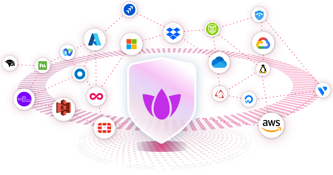 SaaS-Security-hero