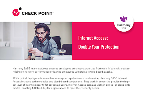 Internet Access: Double Your Protection